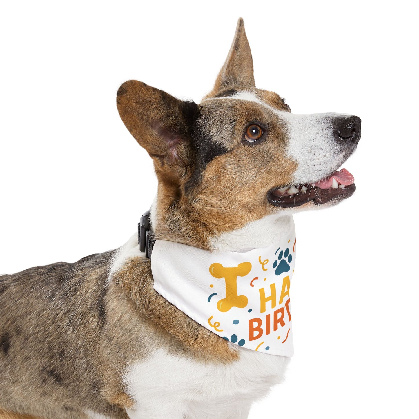 Happy Birthday Pet Bandana Collar, Cute Dog Birthday Accessory, Pet Party Gear, Dog Celebration Wear, Furry Friend Gift