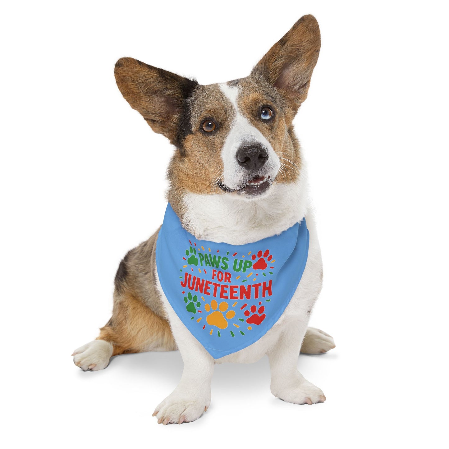 Juneteenth Pet Bandana Collar, Celebrate Freedom with Your Dog, Dog Fashion Accessory, Pet Celebration Wear, Holiday Pet Gift
