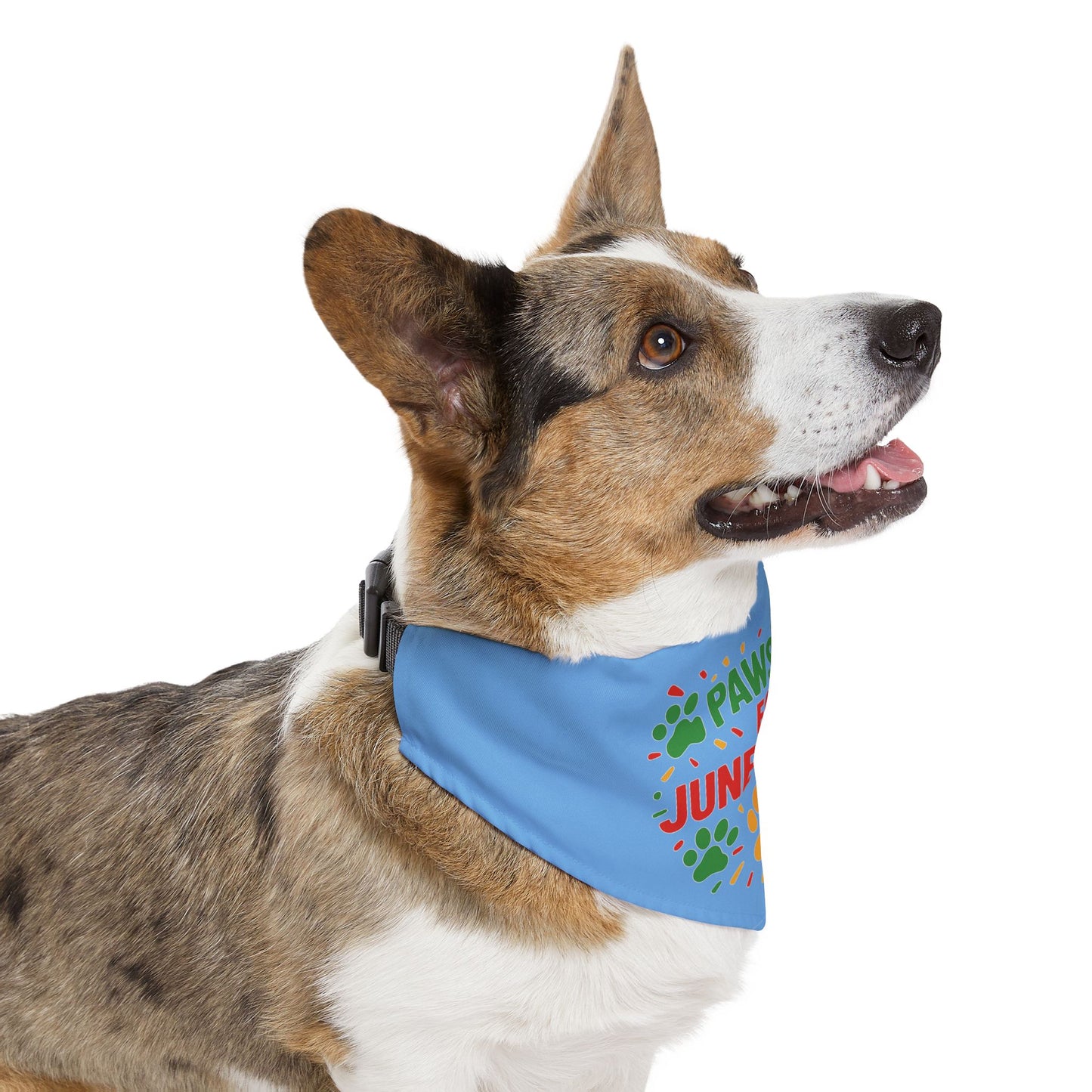 Juneteenth Pet Bandana Collar, Celebrate Freedom with Your Dog, Dog Fashion Accessory, Pet Celebration Wear, Holiday Pet Gift